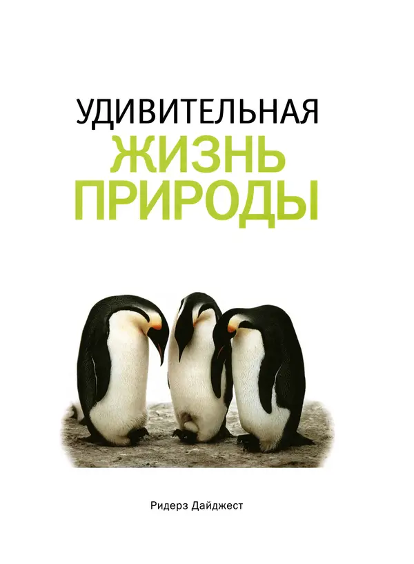  Коллектив авторов - Удивительная жизнь природы - Страница № 4
