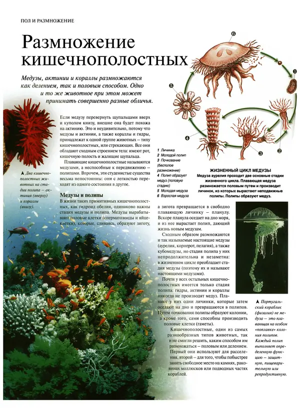  Коллектив авторов - Удивительная жизнь природы - Страница № 43