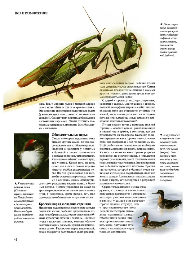  Коллектив авторов - Удивительная жизнь природы - Страница № 45