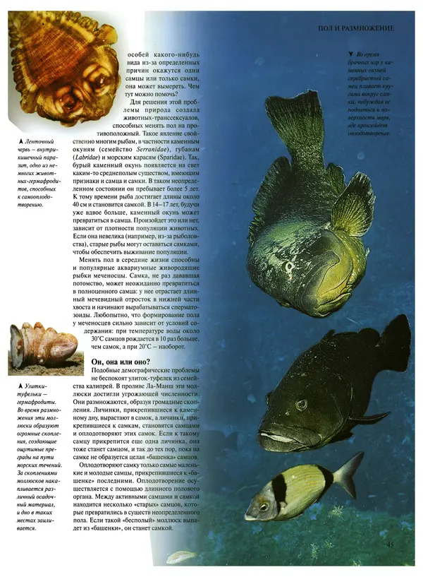  Коллектив авторов - Удивительная жизнь природы - Страница № 48