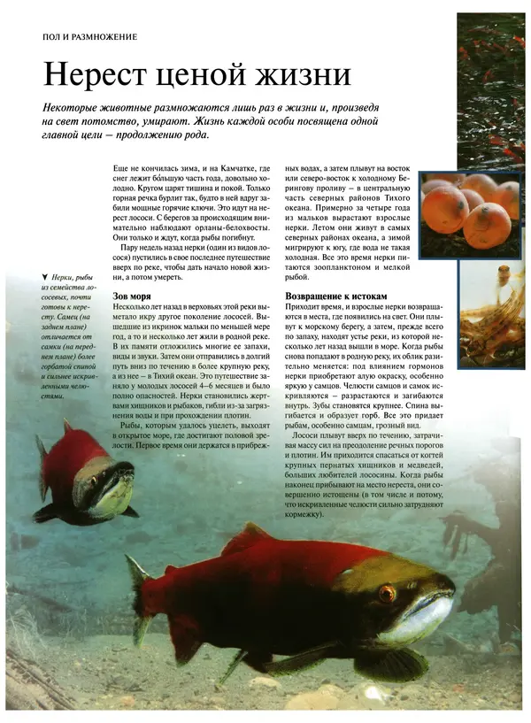  Коллектив авторов - Удивительная жизнь природы - Страница № 53