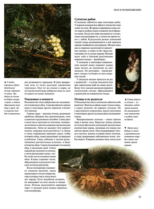  Коллектив авторов - Удивительная жизнь природы - Страница № 58
