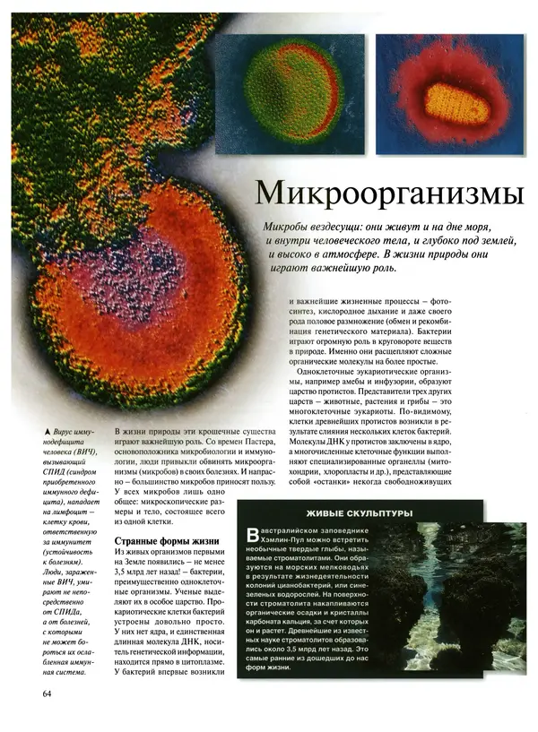  Коллектив авторов - Удивительная жизнь природы - Страница № 67