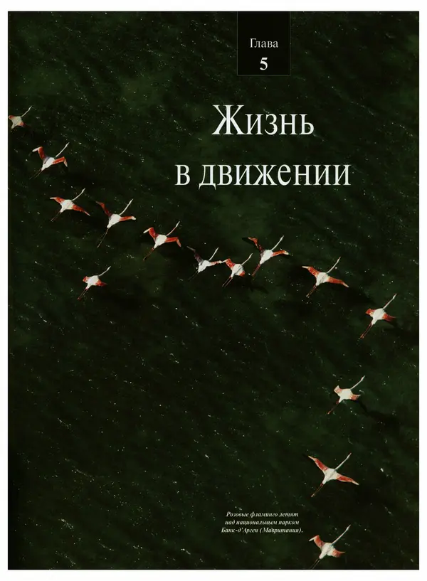  Коллектив авторов - Удивительная жизнь природы - Страница № 74