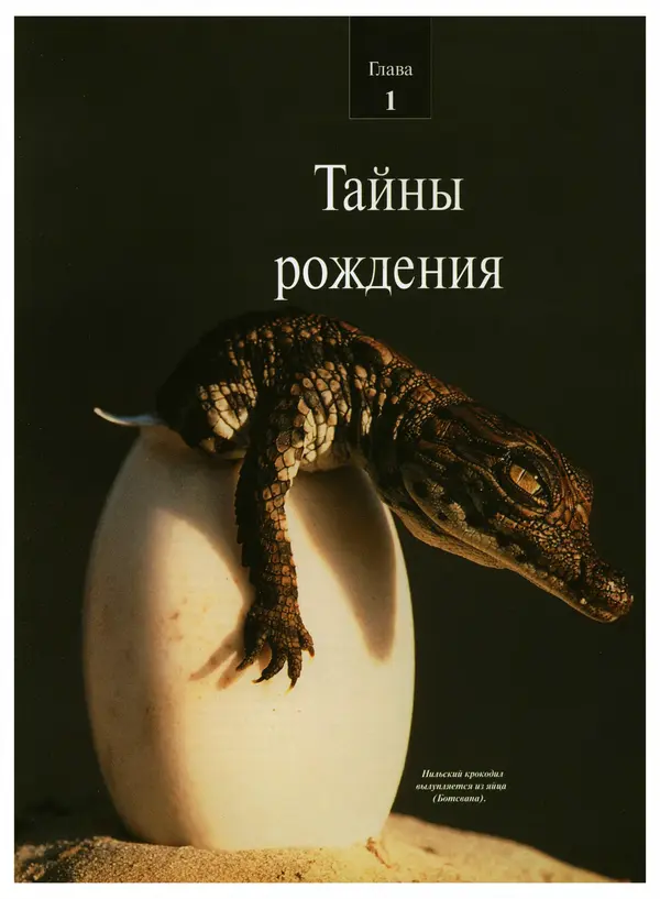  Коллектив авторов - Удивительная жизнь природы - Страница № 8