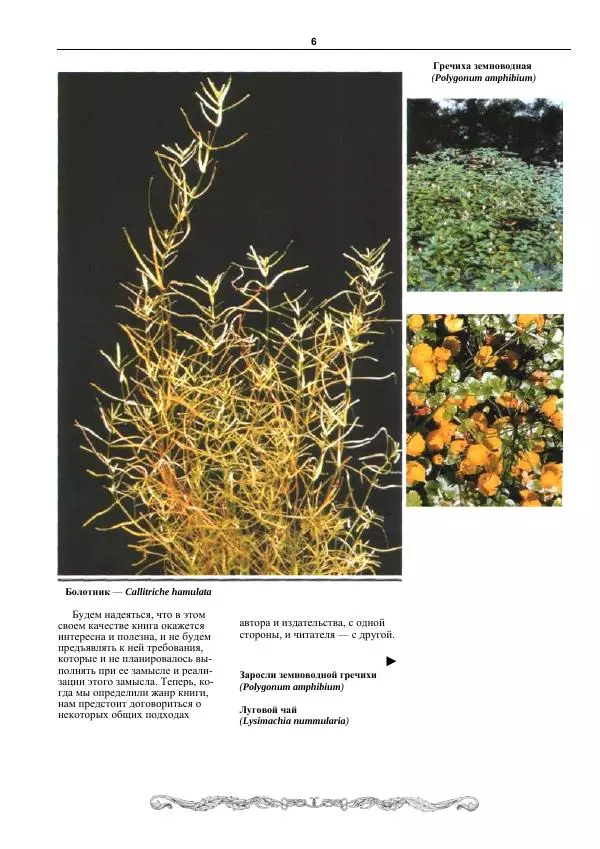 Марк Махлин - Аквариумный сад - Страница № 7