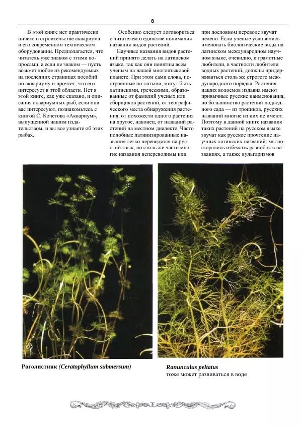 Марк Махлин - Аквариумный сад - Страница № 9
