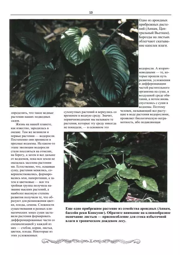 Марк Махлин - Аквариумный сад - Страница № 14