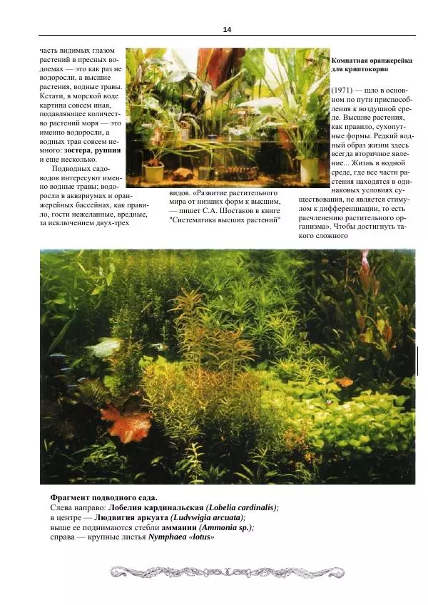 Марк Махлин - Аквариумный сад - Страница № 15