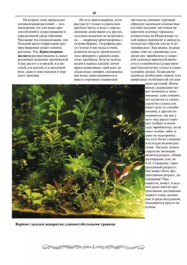 Марк Махлин - Аквариумный сад - Страница № 17