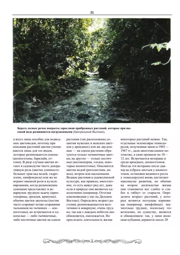 Марк Махлин - Аквариумный сад - Страница № 22