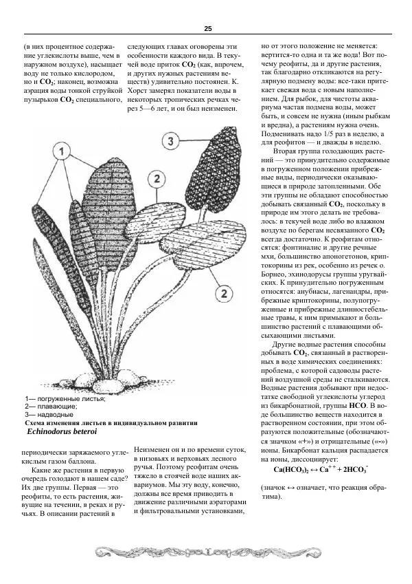 Марк Махлин - Аквариумный сад - Страница № 26