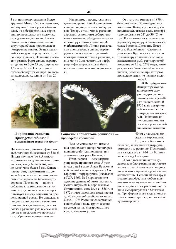 Марк Махлин - Аквариумный сад - Страница № 50