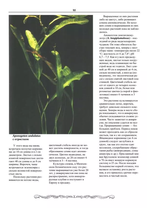 Марк Махлин - Аквариумный сад - Страница № 54