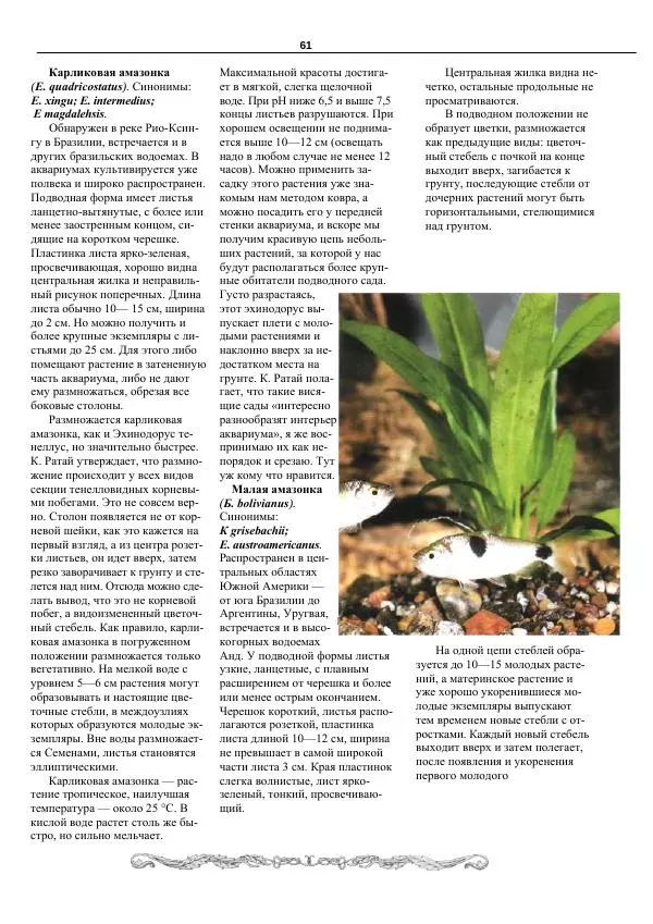 Марк Махлин - Аквариумный сад - Страница № 62