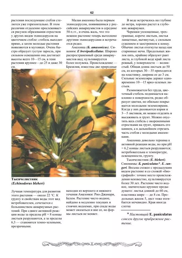 Марк Махлин - Аквариумный сад - Страница № 63