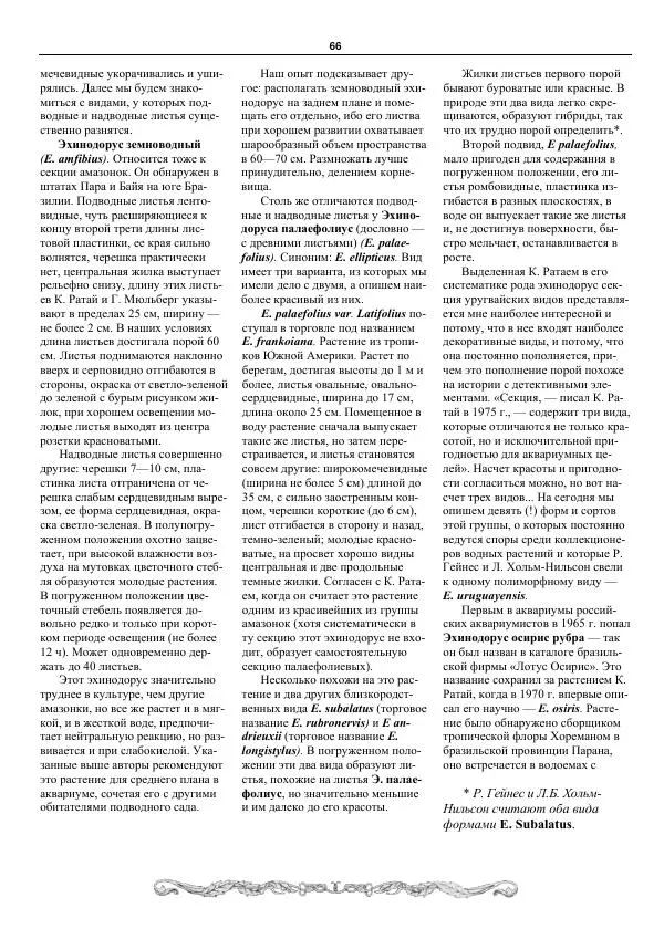 Марк Махлин - Аквариумный сад - Страница № 67