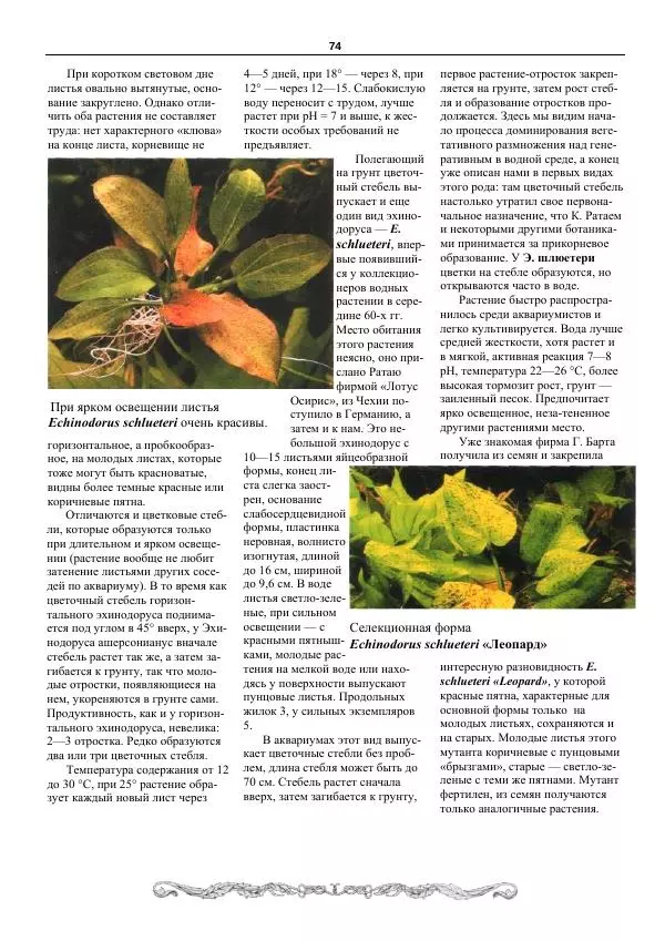 Марк Махлин - Аквариумный сад - Страница № 75