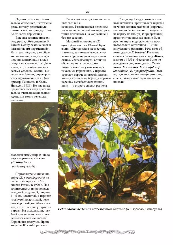 Марк Махлин - Аквариумный сад - Страница № 76