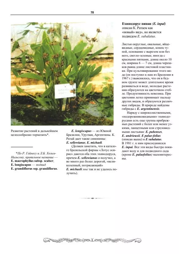 Марк Махлин - Аквариумный сад - Страница № 79