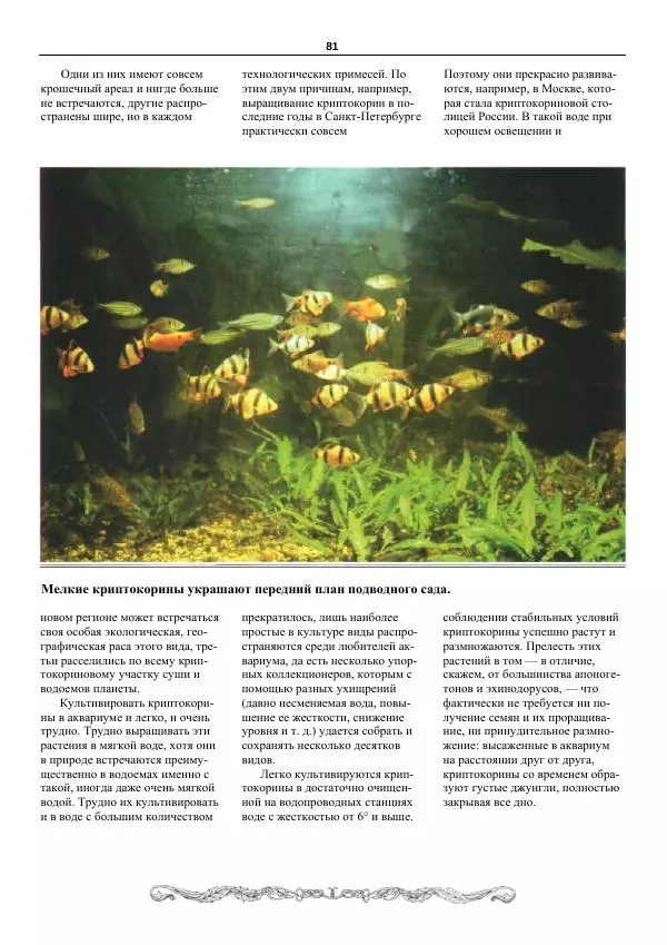 Марк Махлин - Аквариумный сад - Страница № 82