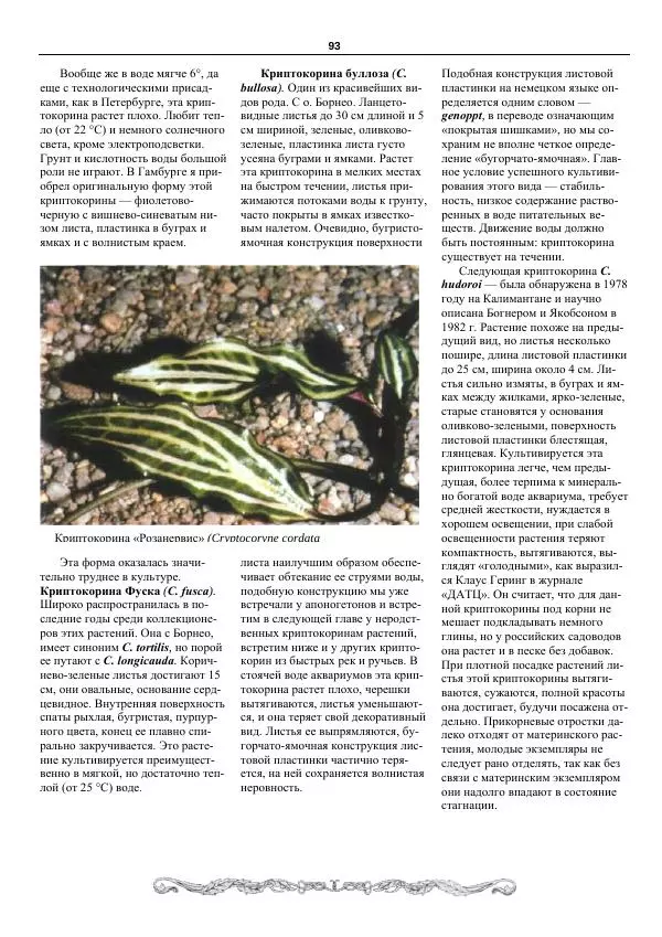 Марк Махлин - Аквариумный сад - Страница № 94