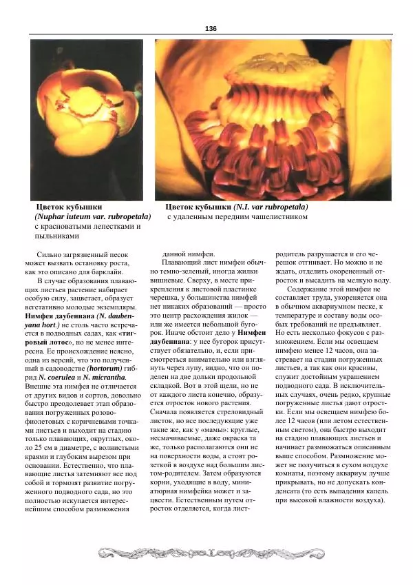 Марк Махлин - Аквариумный сад - Страница № 137