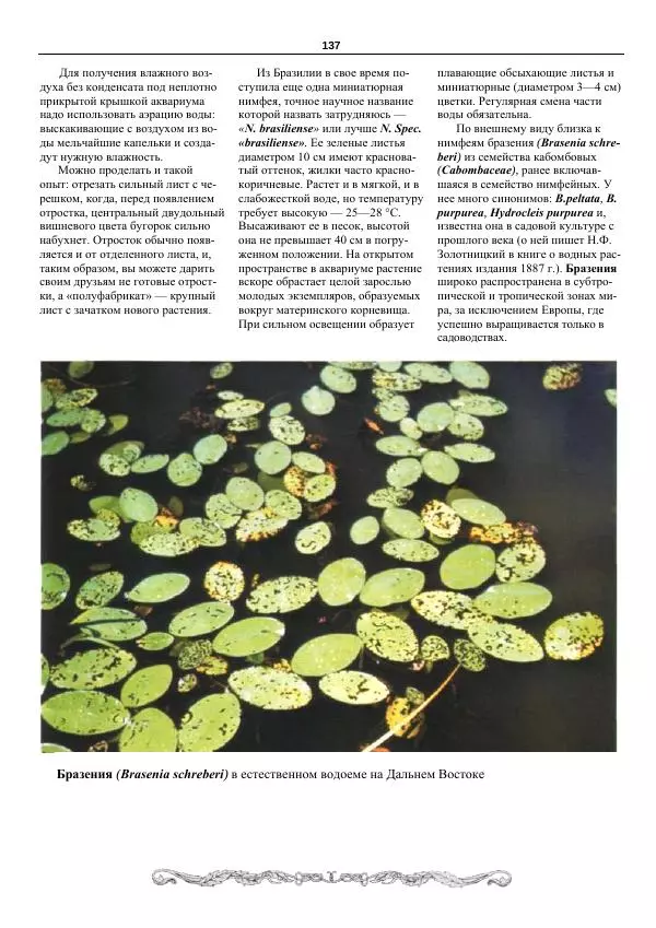 Марк Махлин - Аквариумный сад - Страница № 138