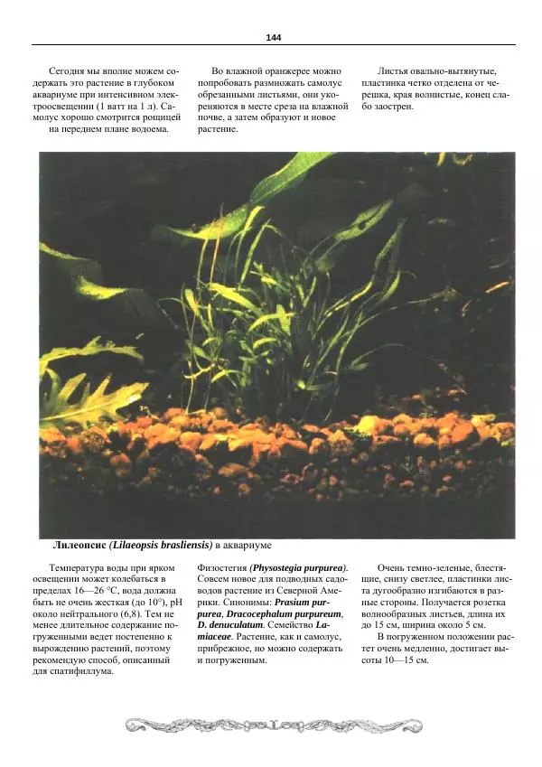 Марк Махлин - Аквариумный сад - Страница № 145