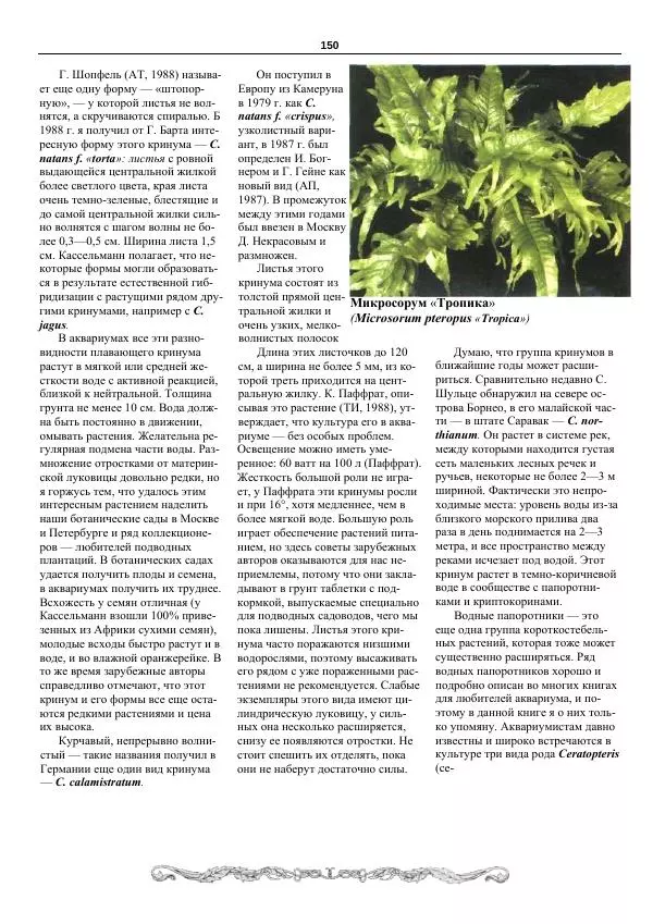 Марк Махлин - Аквариумный сад - Страница № 151