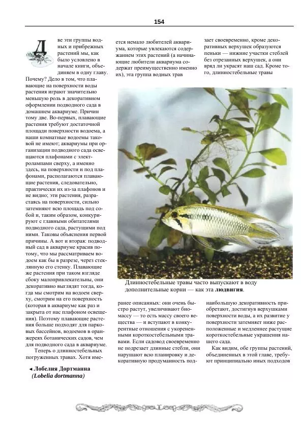 Марк Махлин - Аквариумный сад - Страница № 155