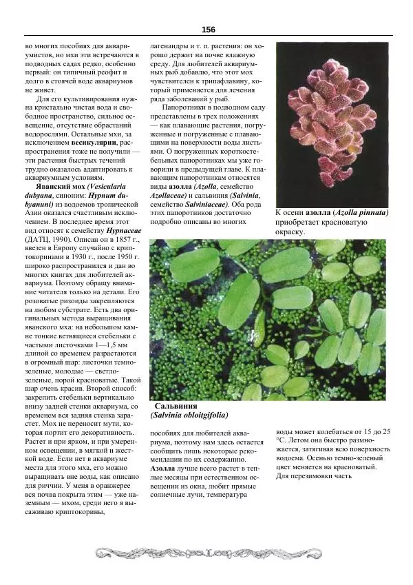 Марк Махлин - Аквариумный сад - Страница № 157