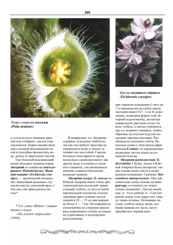 Марк Махлин - Аквариумный сад - Страница № 161