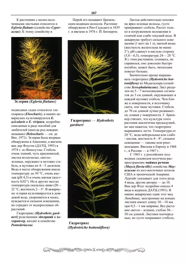 Марк Махлин - Аквариумный сад - Страница № 168