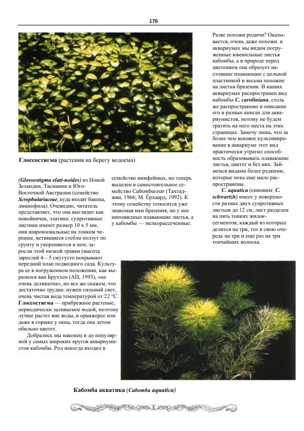 Марк Махлин - Аквариумный сад - Страница № 171