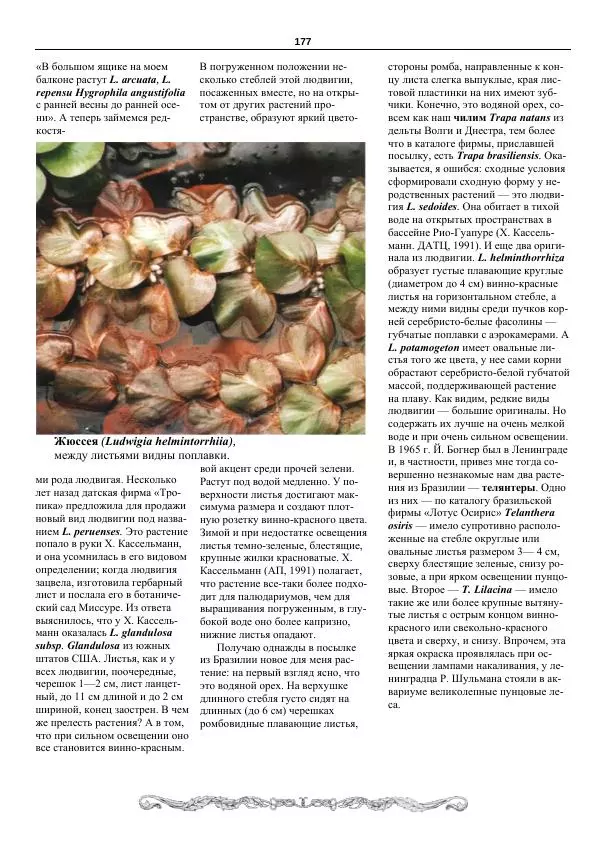 Марк Махлин - Аквариумный сад - Страница № 178