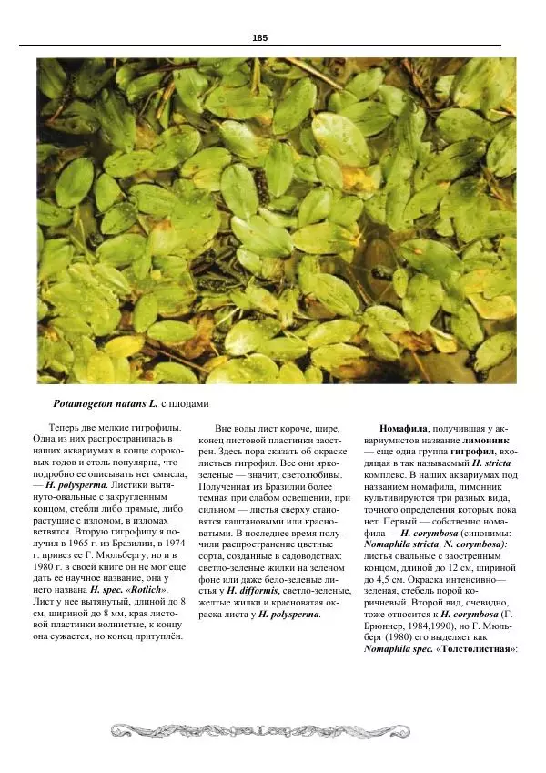 Марк Махлин - Аквариумный сад - Страница № 186