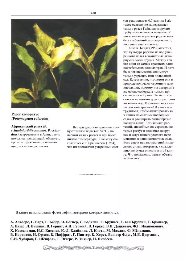Марк Махлин - Аквариумный сад - Страница № 189