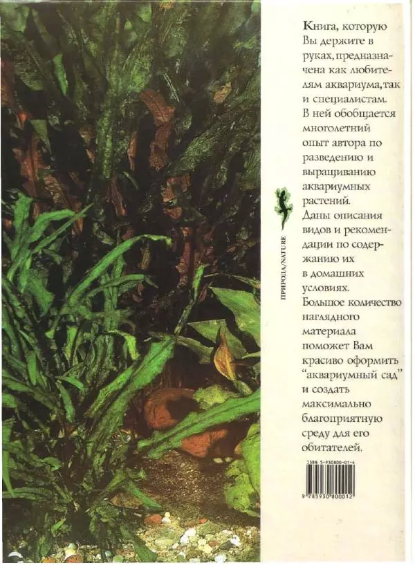 Марк Махлин - Аквариумный сад - Страница № 210