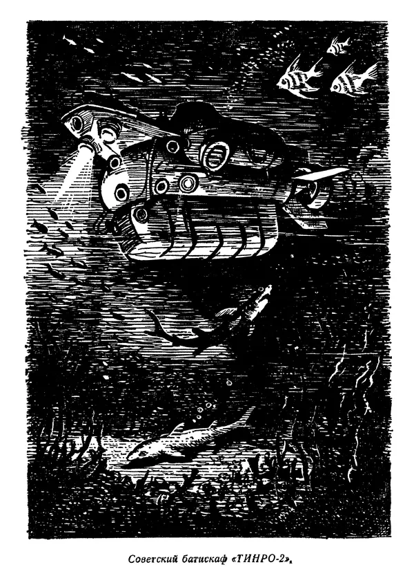 Михаил Васин - Два шага до чуда - Страница № 20