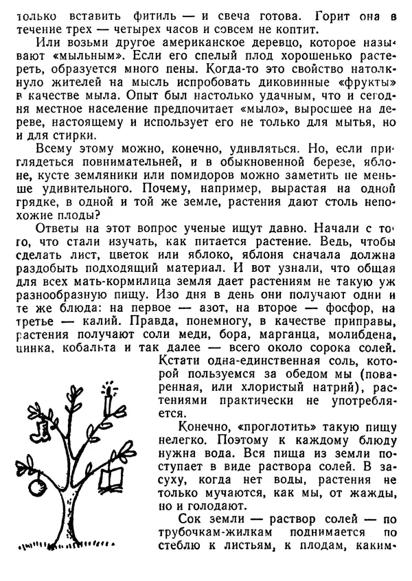 Михаил Васин - Два шага до чуда - Страница № 71