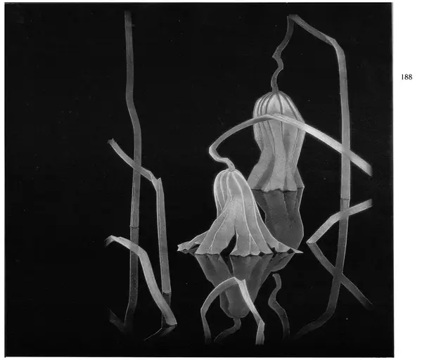  Коллектив авторов - Японское декоративное искусство - Страница № 182