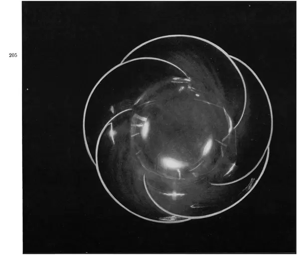  Коллектив авторов - Японское декоративное искусство - Страница № 199
