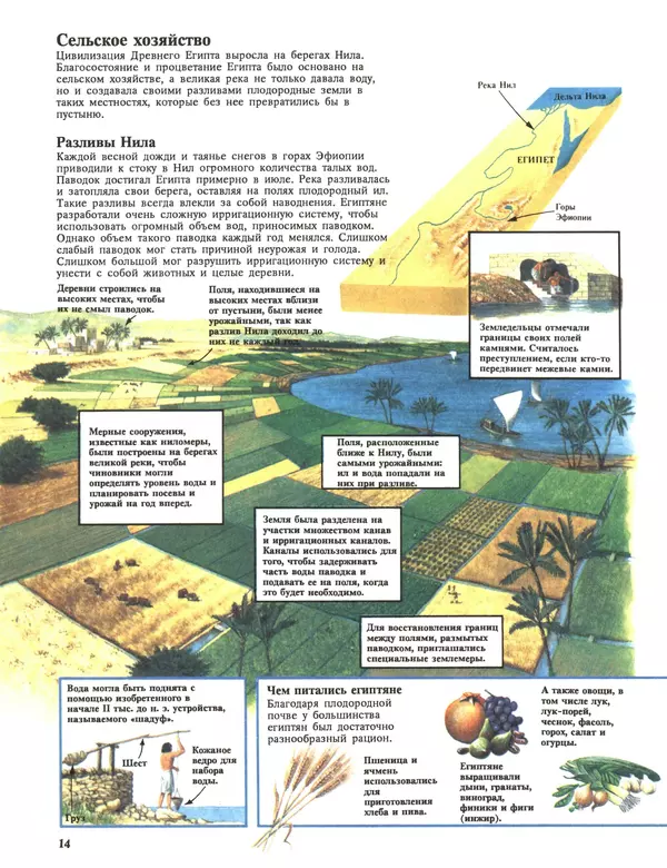 Энн Миллард - Ранние цивилизации - Страница № 15
