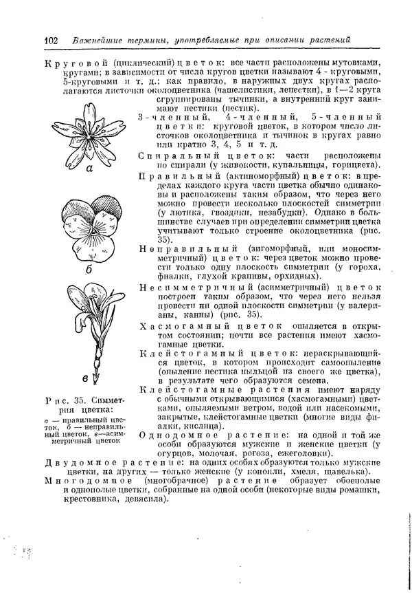  Коллектив авторов - Травянистые растения СССР. Том 1 - Страница № 102