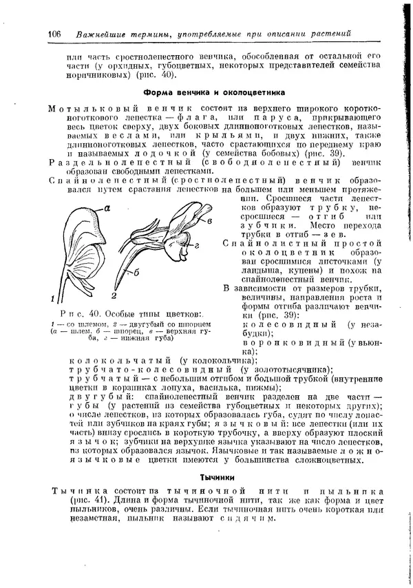  Коллектив авторов - Травянистые растения СССР. Том 1 - Страница № 106