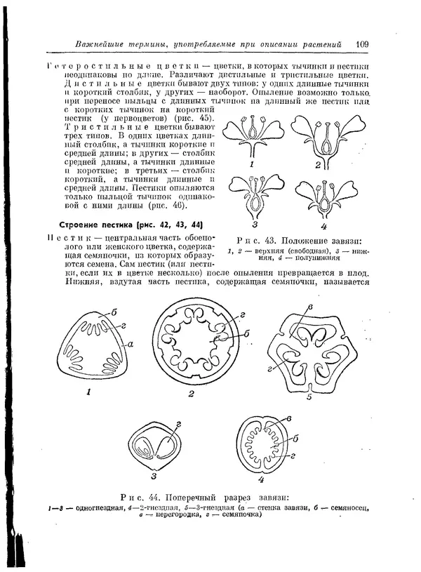  Коллектив авторов - Травянистые растения СССР. Том 1 - Страница № 109