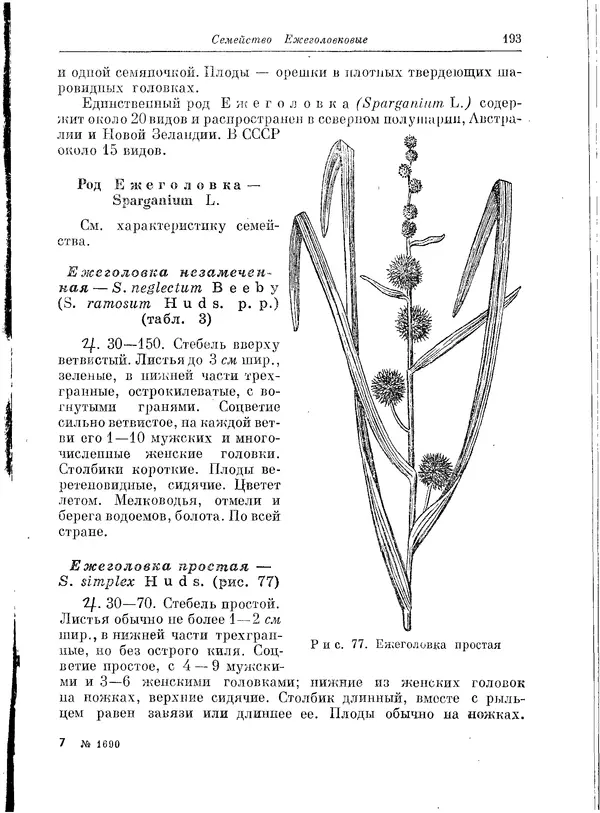  Коллектив авторов - Травянистые растения СССР. Том 1 - Страница № 193