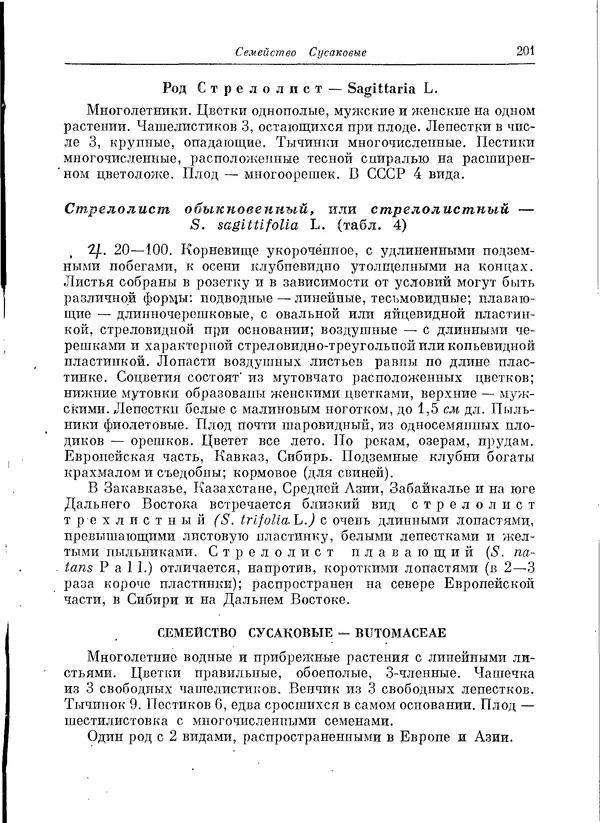  Коллектив авторов - Травянистые растения СССР. Том 1 - Страница № 201
