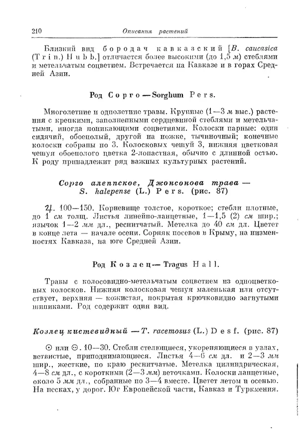  Коллектив авторов - Травянистые растения СССР. Том 1 - Страница № 210